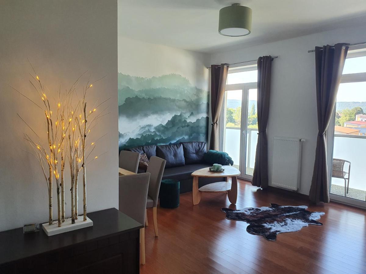 Apartman S Wellness Apartment Karlovy Vary Bagian luar foto
