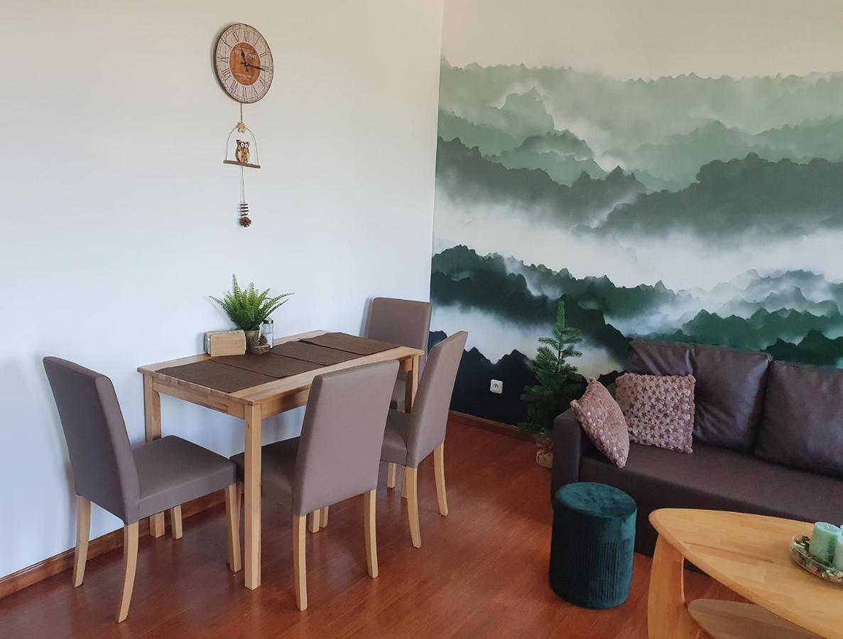 Apartman S Wellness Apartment Karlovy Vary Bagian luar foto