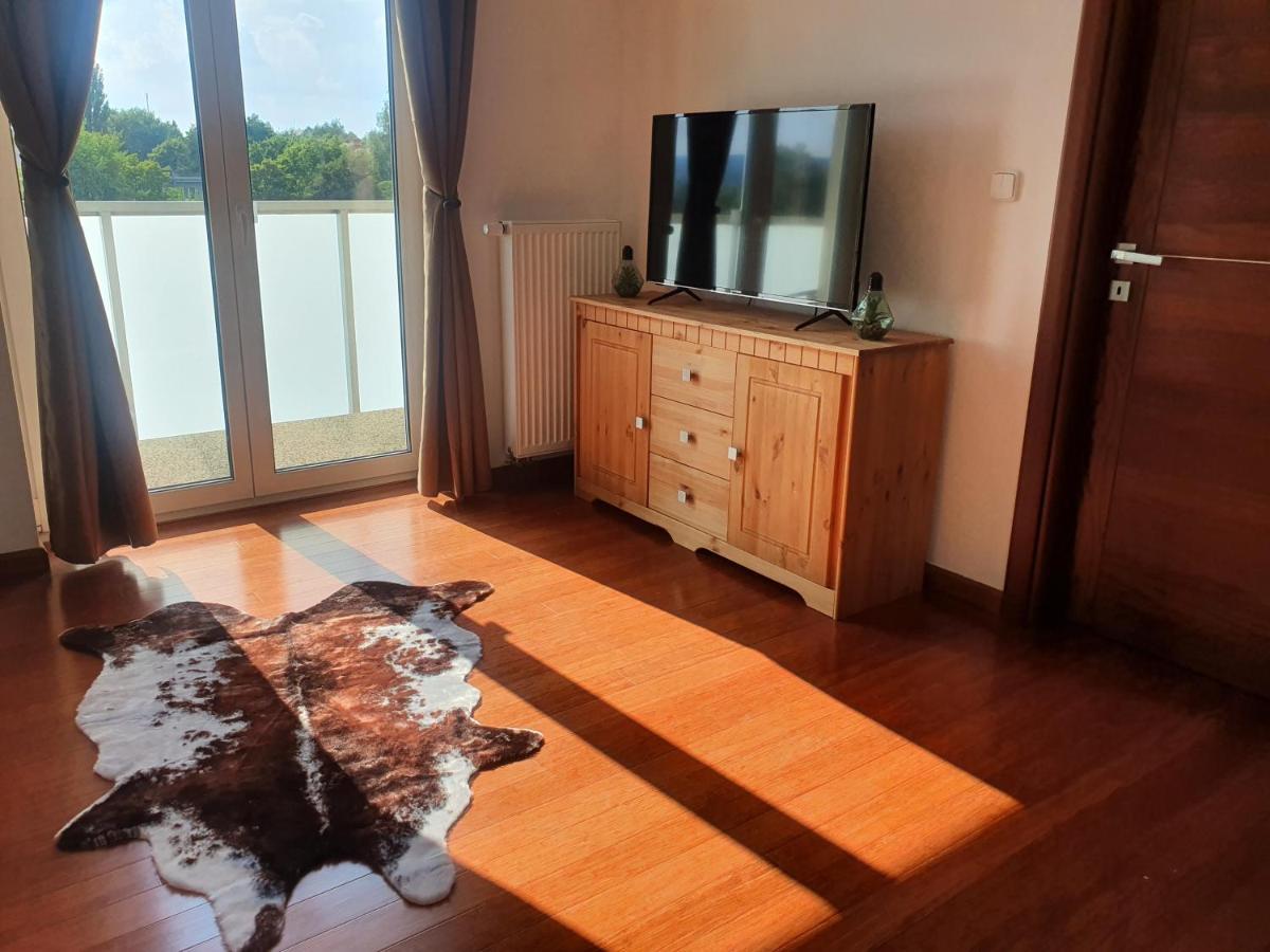 Apartman S Wellness Apartment Karlovy Vary Bagian luar foto