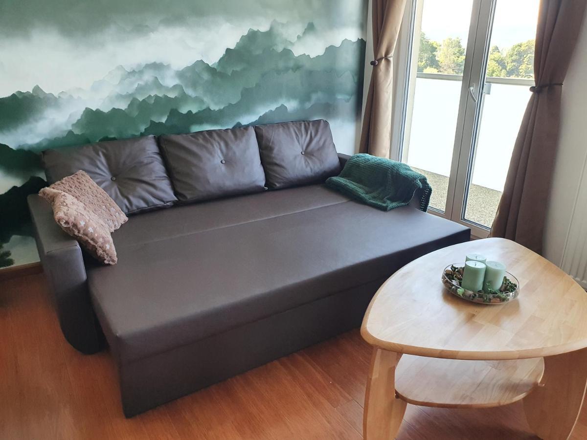 Apartman S Wellness Apartment Karlovy Vary Bagian luar foto